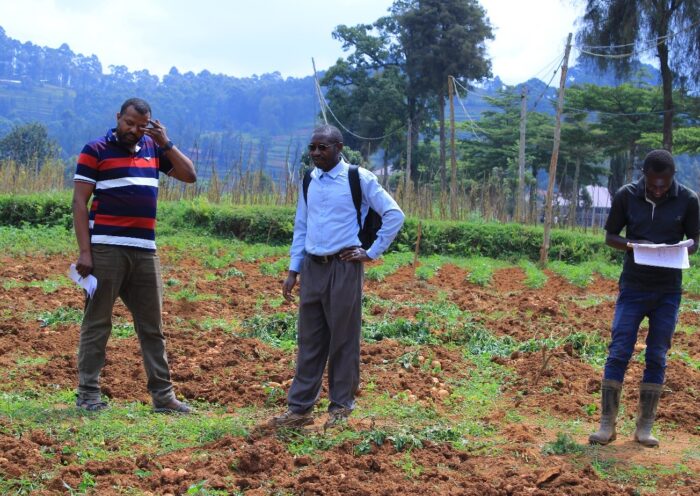 Le Professeur Ordinaire Charles Valimunzigha (au milieu) inspecte un champ expérimental de son doctorant IDJA (A gauche) sur le site de l’UCG. ©Hervé Mukulu