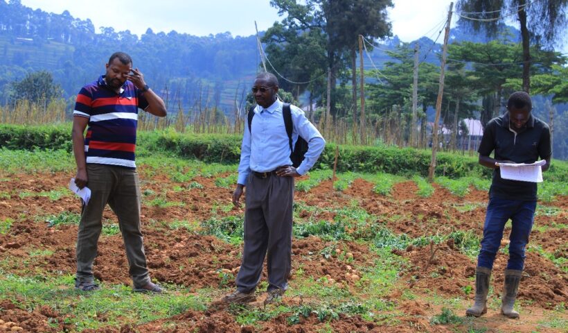 Le Professeur Ordinaire Charles Valimunzigha (au milieu) inspecte un champ expérimental de son doctorant IDJA (A gauche) sur le site de l’UCG. ©Hervé Mukulu
