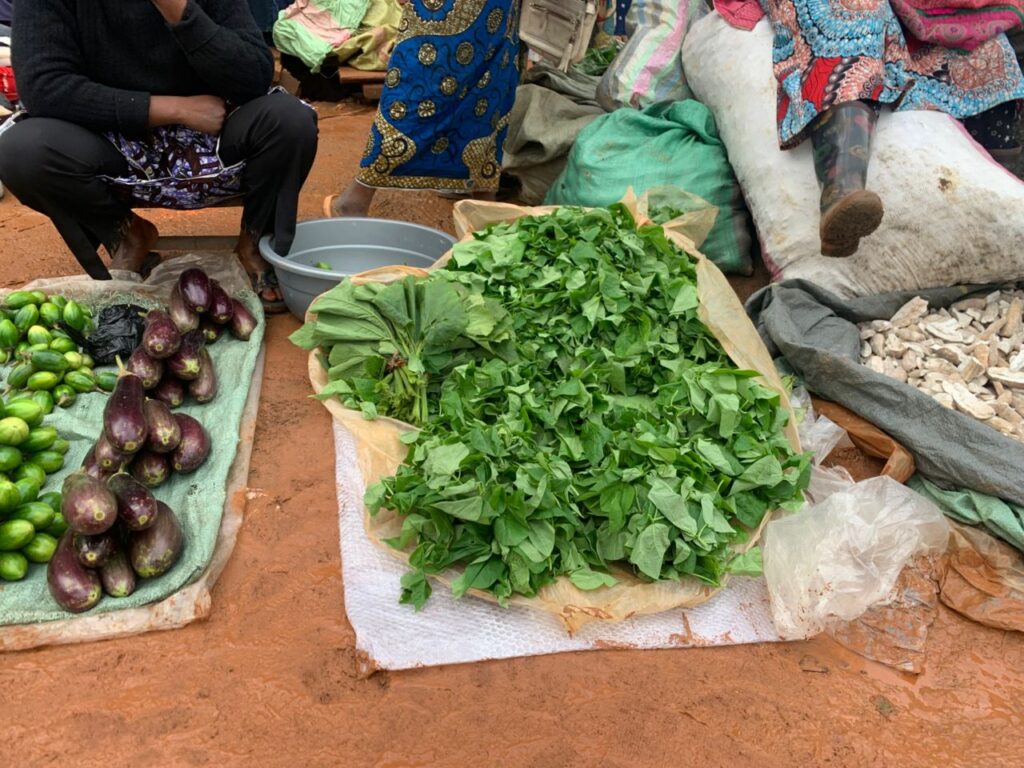 Des tas de musoma vendus dans une ruelle de Butembo, à même le sol sur une natte. © Elisha Kindy