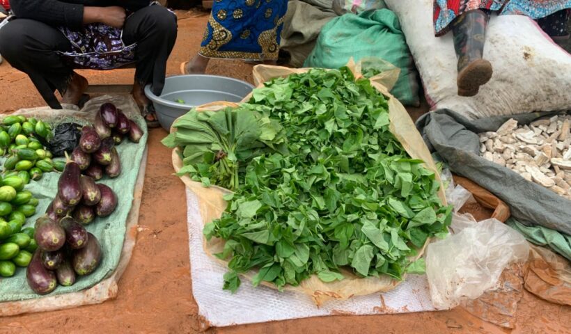 Des tas de musoma vendus dans une ruelle de Butembo, à même le sol sur une natte. © Elisha Kindy